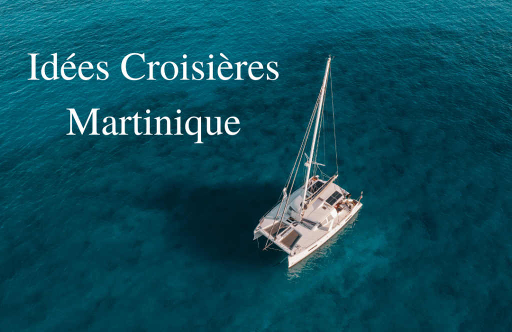 location catamaran le marin martinique