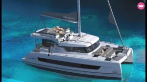 bali catspace 768x432